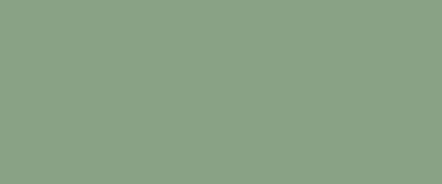 Green banner background