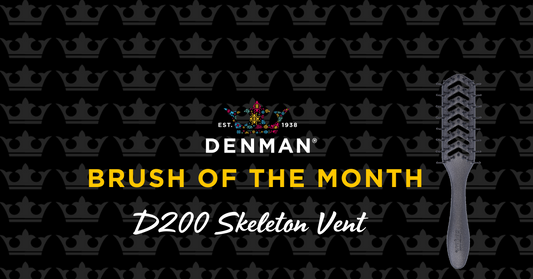 BRUSH OF THE MONTH - D200 SKELETON VENT
