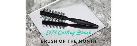 BRUSH OF THE MONTH - D71 CURLING BRUSH