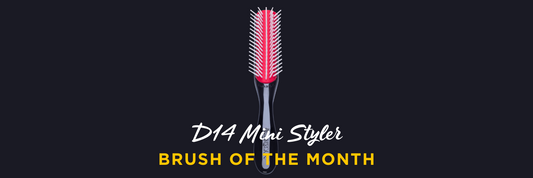 Brush Of The Month - D14 Mini Styler
