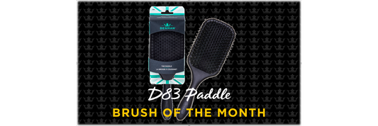 BRUSH OF THE MONTH - D83 PADDLE