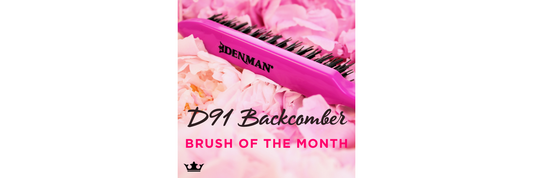 BRUSH OF THE MONTH - D91 BACKCOMBER