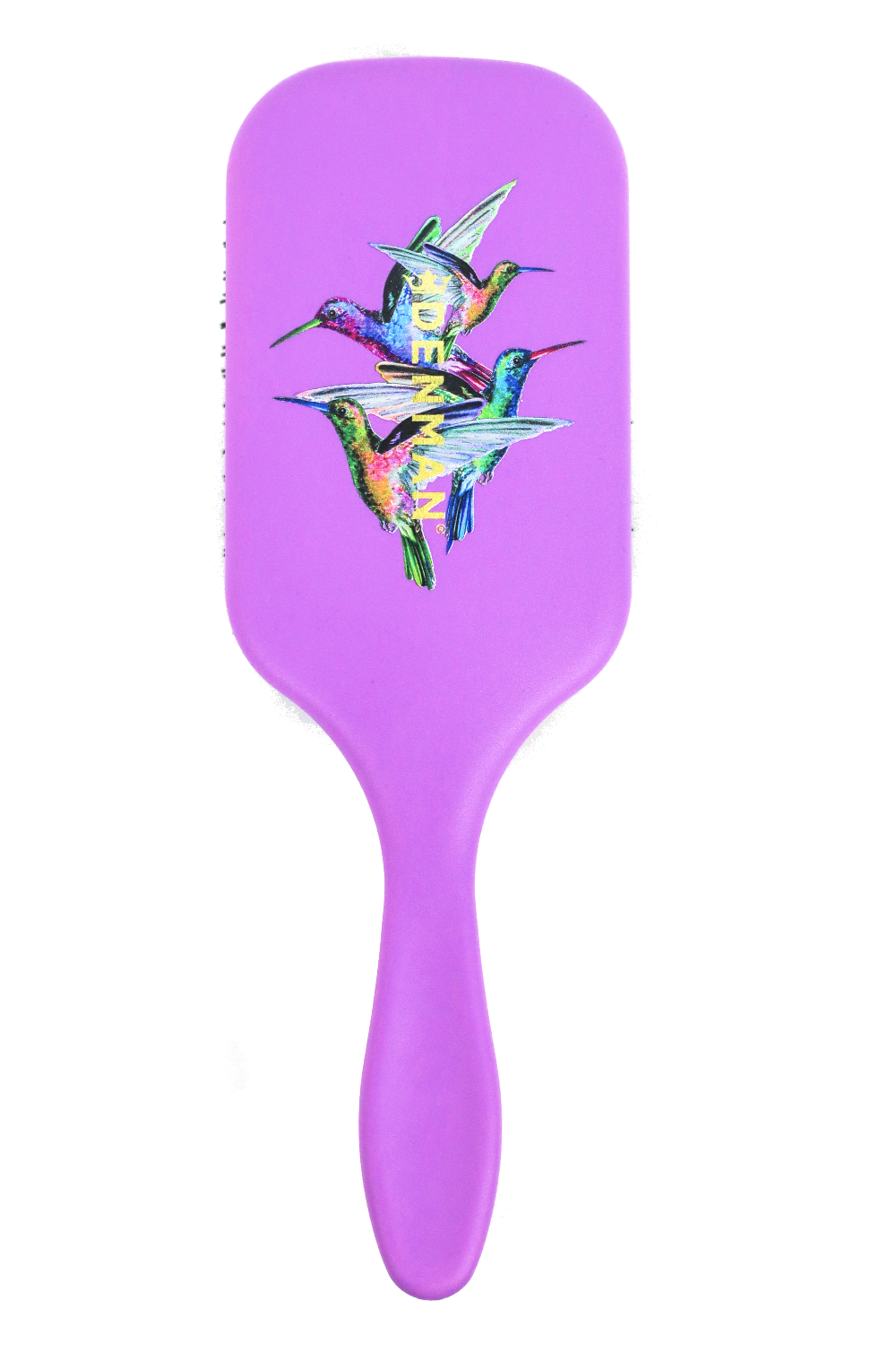 D90L Violet Hummingbird